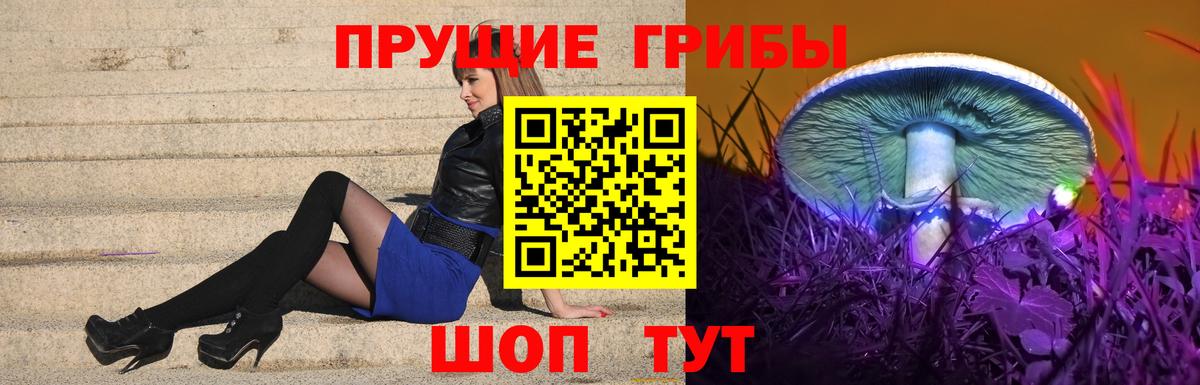 Галлюциногенные грибы мицелий Мурино